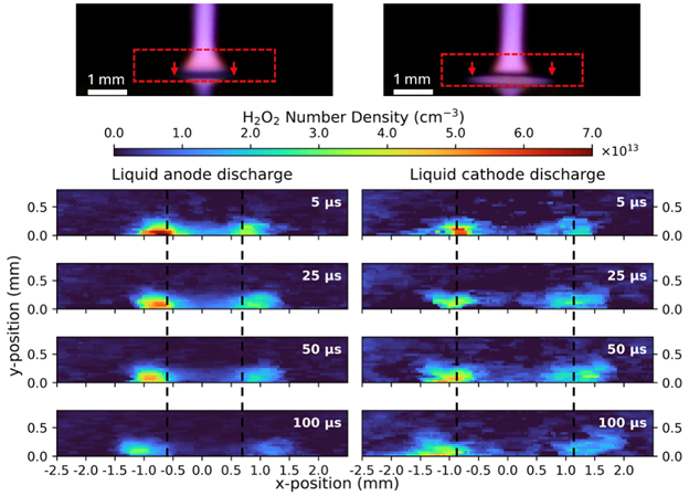 Image of H202-mechanisms