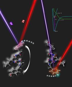 Image of Zwier_Directing_tunneling_conical_intersection