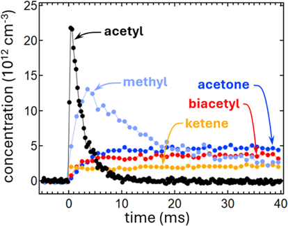 Image of acetyl_sheps